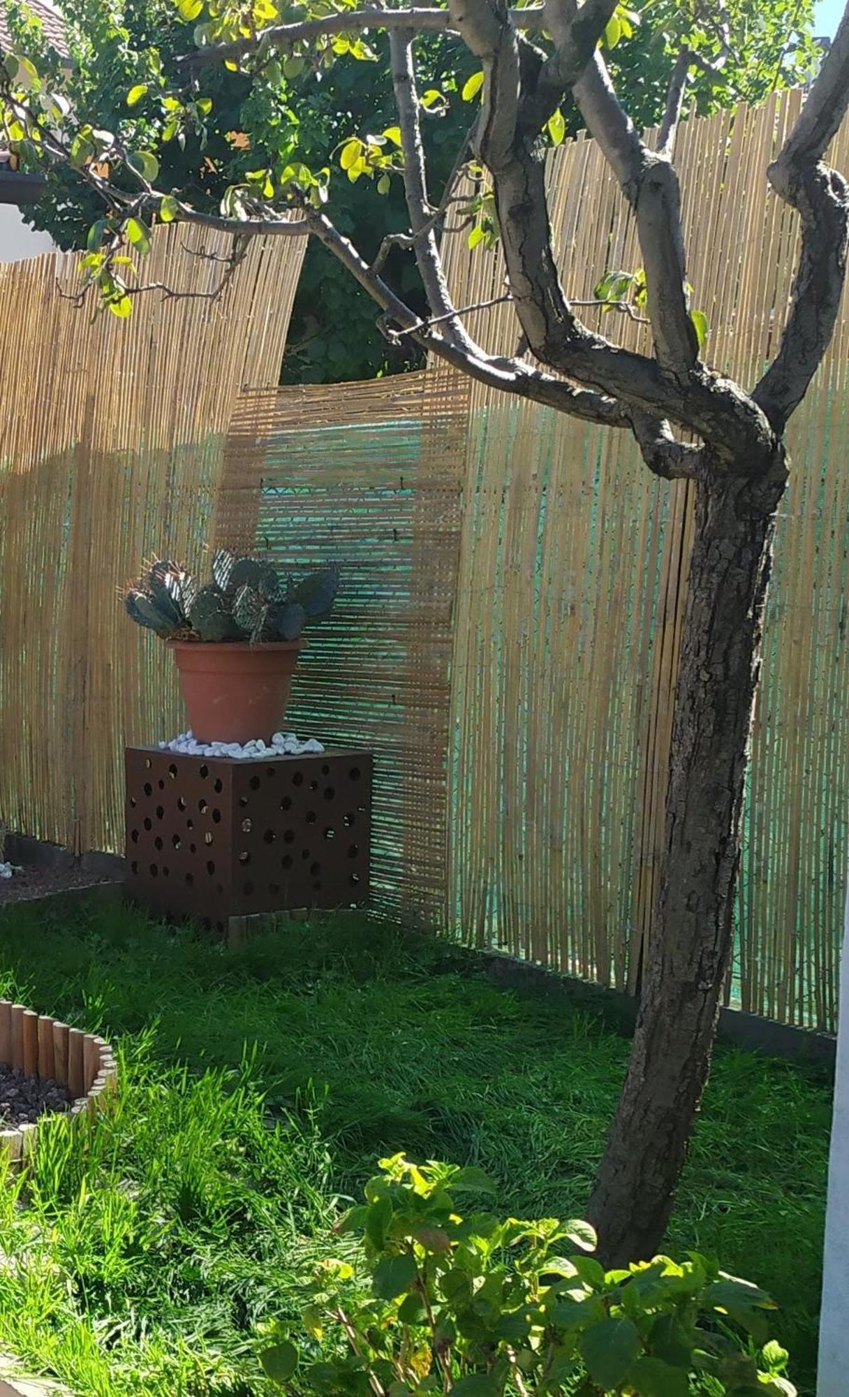 Shanti Ca' Casa Indipendente Con Giardino Lacchiarella Exteriör bild