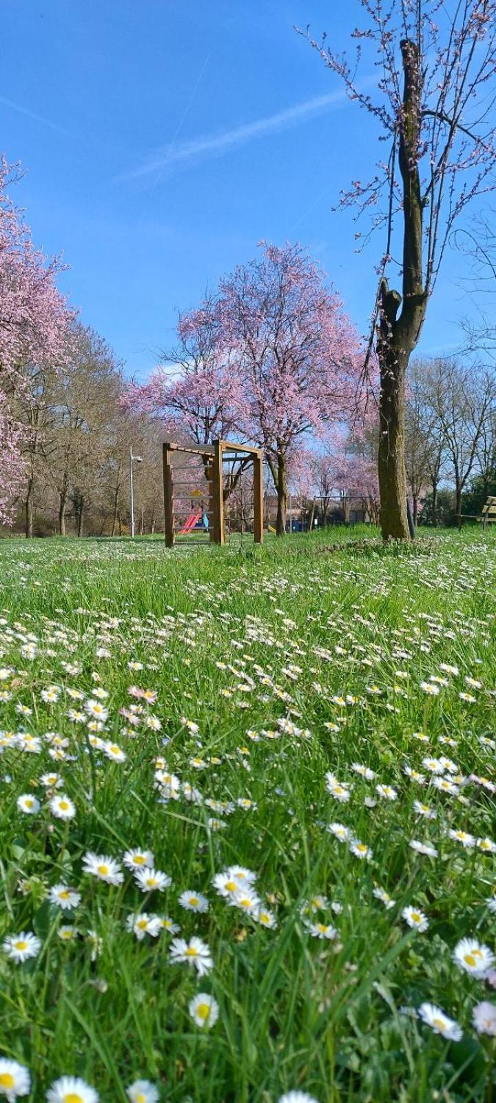 Shanti Ca' Casa Indipendente Con Giardino Lacchiarella Exteriör bild