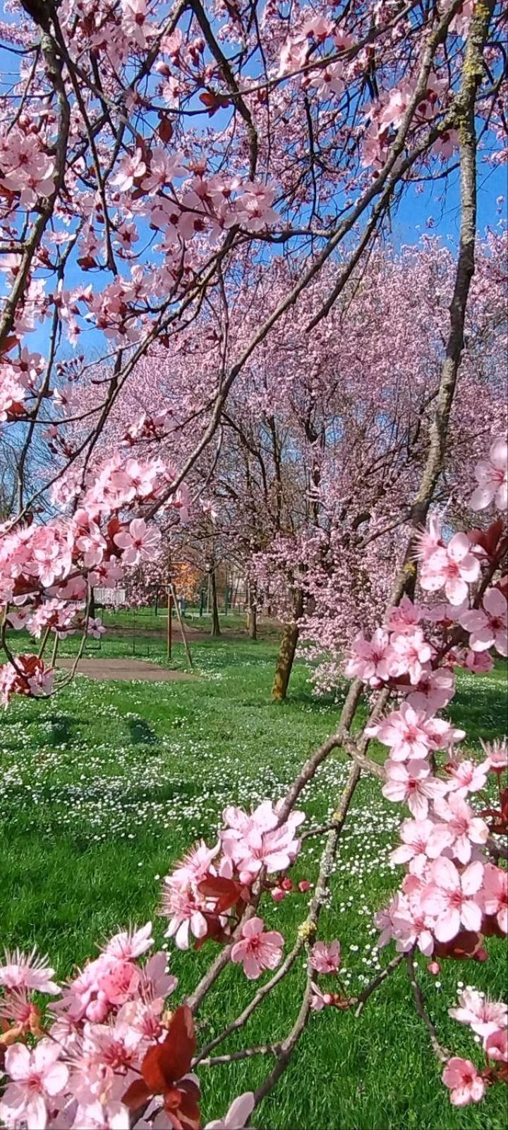 Shanti Ca' Casa Indipendente Con Giardino Lacchiarella Exteriör bild