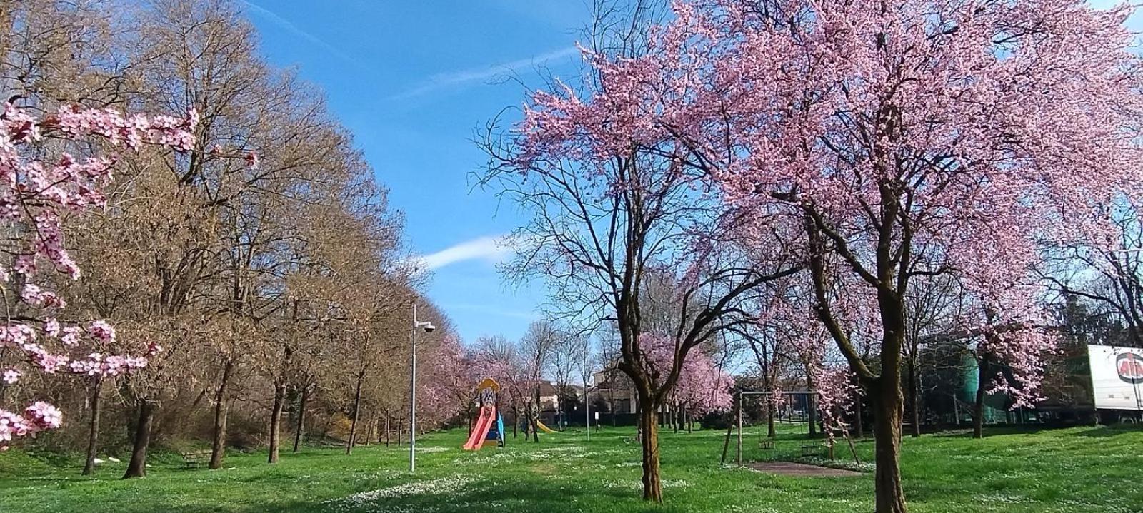 Shanti Ca' Casa Indipendente Con Giardino Lacchiarella Exteriör bild